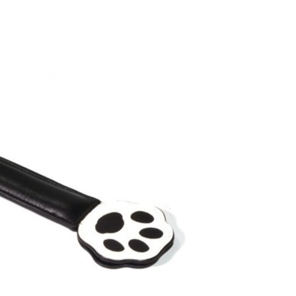 Paddles - Picture 3 of 3